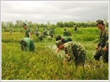 Xây dựng "thế trận lòng dân" trên địa bàn Quân khu 9