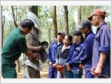 Người chiến sĩ "Binh đoàn xanh" tỏa sáng phẩm chất "Bộ đội Cụ Hồ" trên địa bàn chiến lược Tây Nguyên (1. Gieo mầm xanh trên những vùng đất khó)