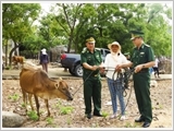 Following Uncle Ho’s teaching, Ninh Thuan Border Guard actively helps people eliminate hunger and reduce poverty