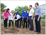 Promoting the Patriotic Emulation movement, Bac Lieu successfully carries out the New rural development programme