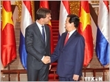 Vietnam, Netherlands set up strategic partnership on agriculture