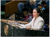 Vietnam reiterates commitment to UN Charter’s purpose, principles