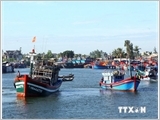 Vietnam condemns inhuman acts against fishermen