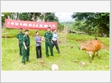 Kon Tum Border Guard with mass mobilization for border protection