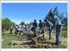 Tuổi trẻ Đoàn thanh niên cơ sở tham gia giúp dân vệ sinh môi trường, xây dựng nông thôn mới