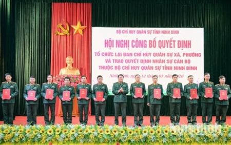 Focusing on building a contingent of commune-level military cadres capable of meeting task requirements in the new situation