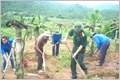 Xây dựng các khu kinh tế - quốc phòng trong tình hình mới: thực tiễn và những vấn đề đặt ra