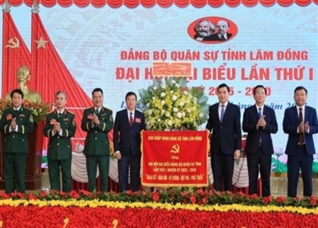 林同省着力建设牢固的防区