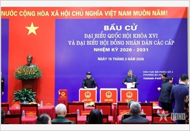 Câu chuyện Ngày hội non sông