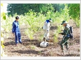 Ứng dụng công nghệ vào công tác tìm kiếm, quy tập
