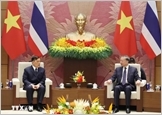 Tổng Bí thư, Chủ tịch nước Tô Lâm hội đàm với Nhà vua Thái Lan