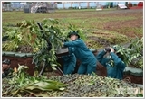 "Xây dựng khu vực phòng thủ chủ động, vững chắc" - phương thức tổ chức sức mạnh bảo vệ Tổ quốc trong kỷ nguyên mới (Tiếp theo và hết)
