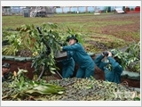 "Xây dựng khu vực phòng thủ chủ động, vững chắc" - phương thức tổ chức sức mạnh bảo vệ Tổ quốc trong kỷ nguyên mới (Tiếp theo và hết)