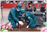 500 ngày đêm "thần tốc" trên dải đất Khu 5