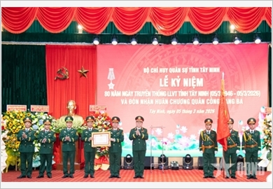 西宁省武装力量扎实推进国防、军事工作