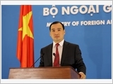 Vietnam opposes illegal foreign activities in its waters