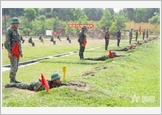 Division 395 makes breakthroughs in raising the quality of training new soldiers