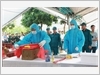 Đội quy tập thực hiện quy trình lấy mẫu tại Nghĩa trang Liệt sĩ xã Phù Ninh, tỉnh Phú Thọ.