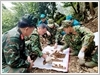 Đội tìm kiếm quy tập hài cốt liệt sĩ, Bộ Chỉ huy Quân sự tỉnh Tuyên Quang quy tập hài cốt liệt sĩ trên điểm cao 211, thôn Giang Nam, xã Thanh Thủy.