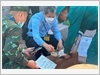 Thực hiện quy trình lấy mẫu, số hóa dữ liệu thông tin về hài cốt liệt sĩ.